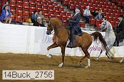 14buck_2756 proof