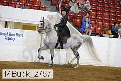 14buck_2757 proof