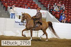 14buck_2758 proof