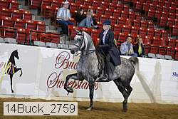 14buck_2759 proof