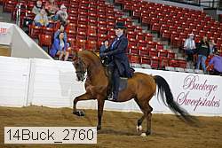 14buck_2760 proof