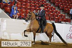 14buck_2762 proof
