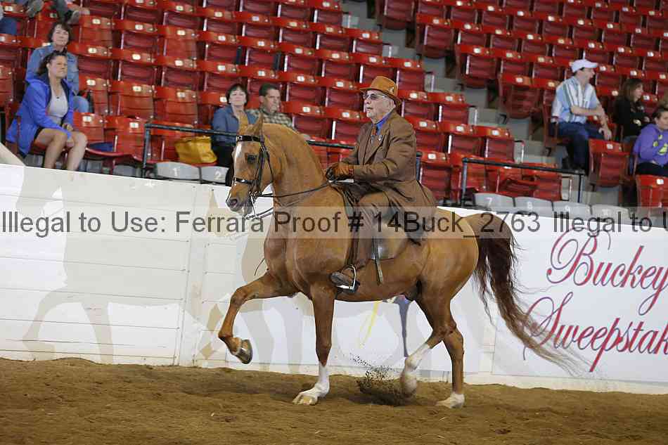 Proof 14buck_2763