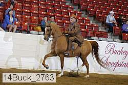 14buck_2763 proof