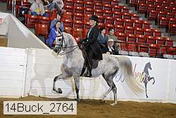 14buck_2764 proof