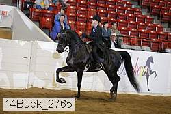 14buck_2765 proof