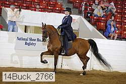 14buck_2766 proof