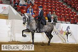 14buck_2767 proof