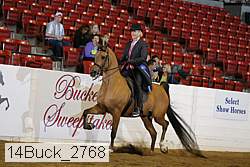 14buck_2768 proof
