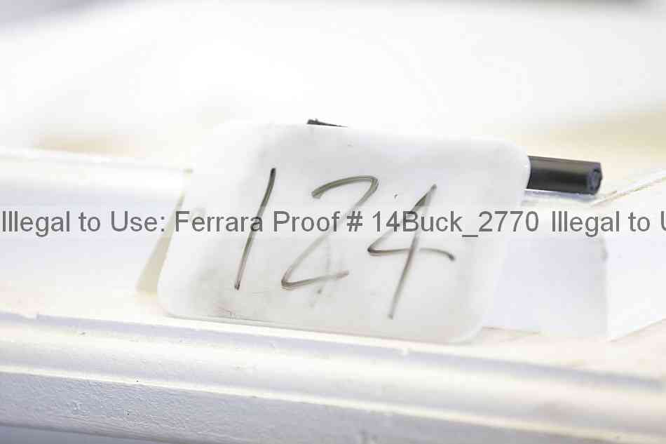 Proof 14buck_2770