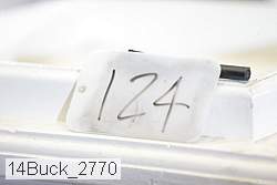 14buck_2770 proof