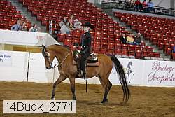 14buck_2771 proof