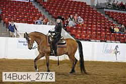 14buck_2773 proof