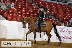 14buck_2775 proof