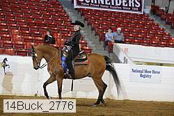 14buck_2776 proof