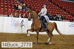 14buck_2778 proof
