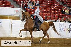 14buck_2779 proof
