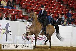 14buck_2780 proof