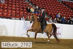 14buck_2782 proof