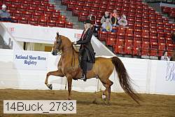 14buck_2783 proof