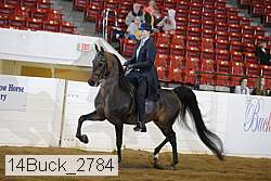 14buck_2784 proof