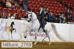 14buck_2789 proof
