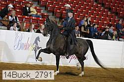 14buck_2791 proof
