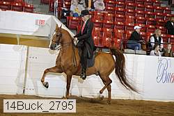 14buck_2795 proof