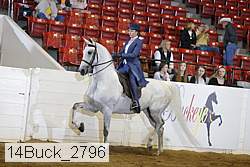 14buck_2796 proof