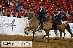 14buck_2797 proof