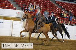 14buck_2799 proof
