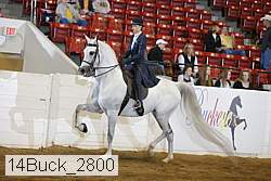 14buck_2800 proof