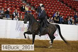 14buck_2801 proof