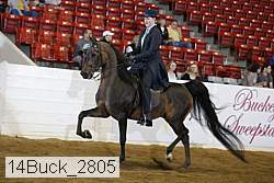 14buck_2805 proof