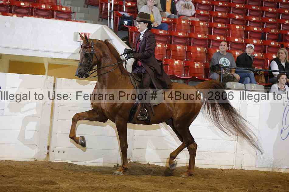 Proof 14buck_2806
