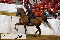 14buck_2806 proof