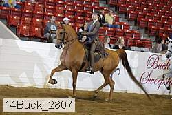 14buck_2807 proof