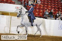 14buck_2809 proof
