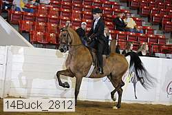 14buck_2812 proof