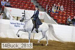 14buck_2813 proof