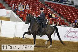 14buck_2814 proof