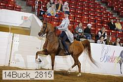 14buck_2815 proof