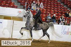 14buck_2816 proof