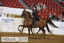 14buck_2818 proof