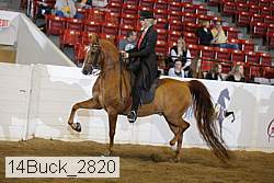 14buck_2820 proof