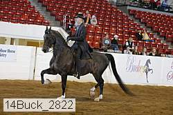 14buck_2822 proof