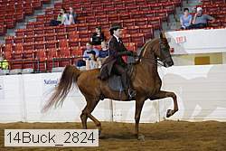 14buck_2824 proof