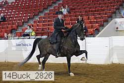 14buck_2826 proof