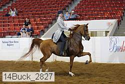 14buck_2827 proof