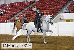 14buck_2828 proof